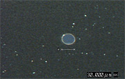 微細バンプ形成φ30μm T=0.025の写真